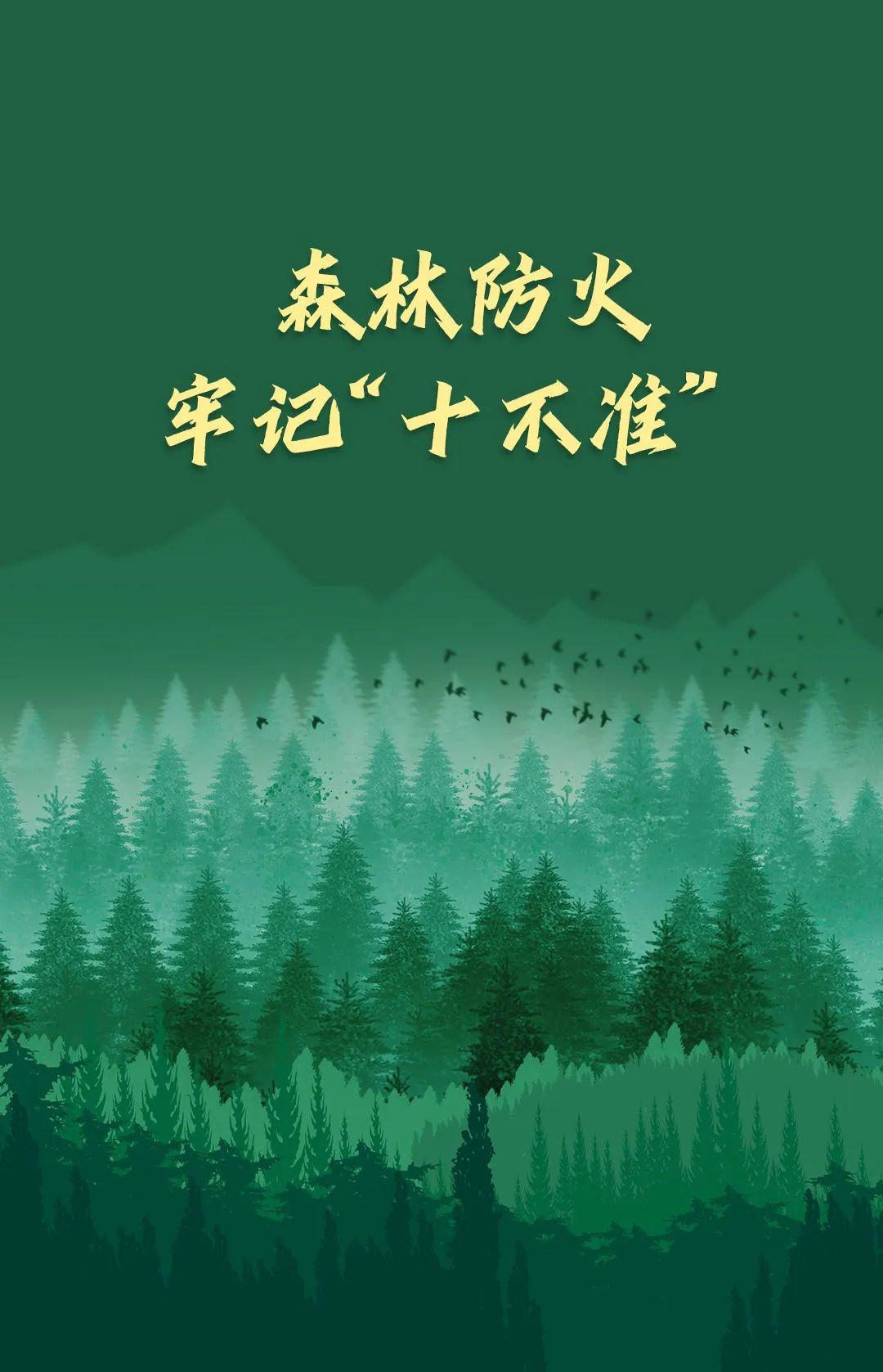 山火連發(fā)，原因公布！多地拉響紅色預(yù)警→
