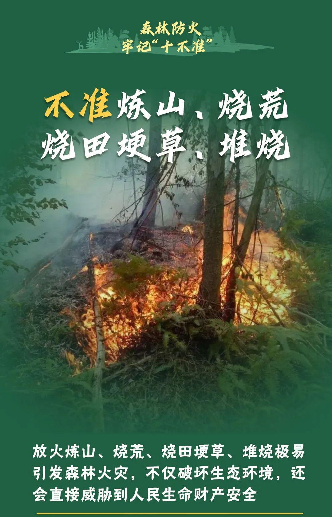 山火連發(fā)，原因公布！多地拉響紅色預(yù)警→