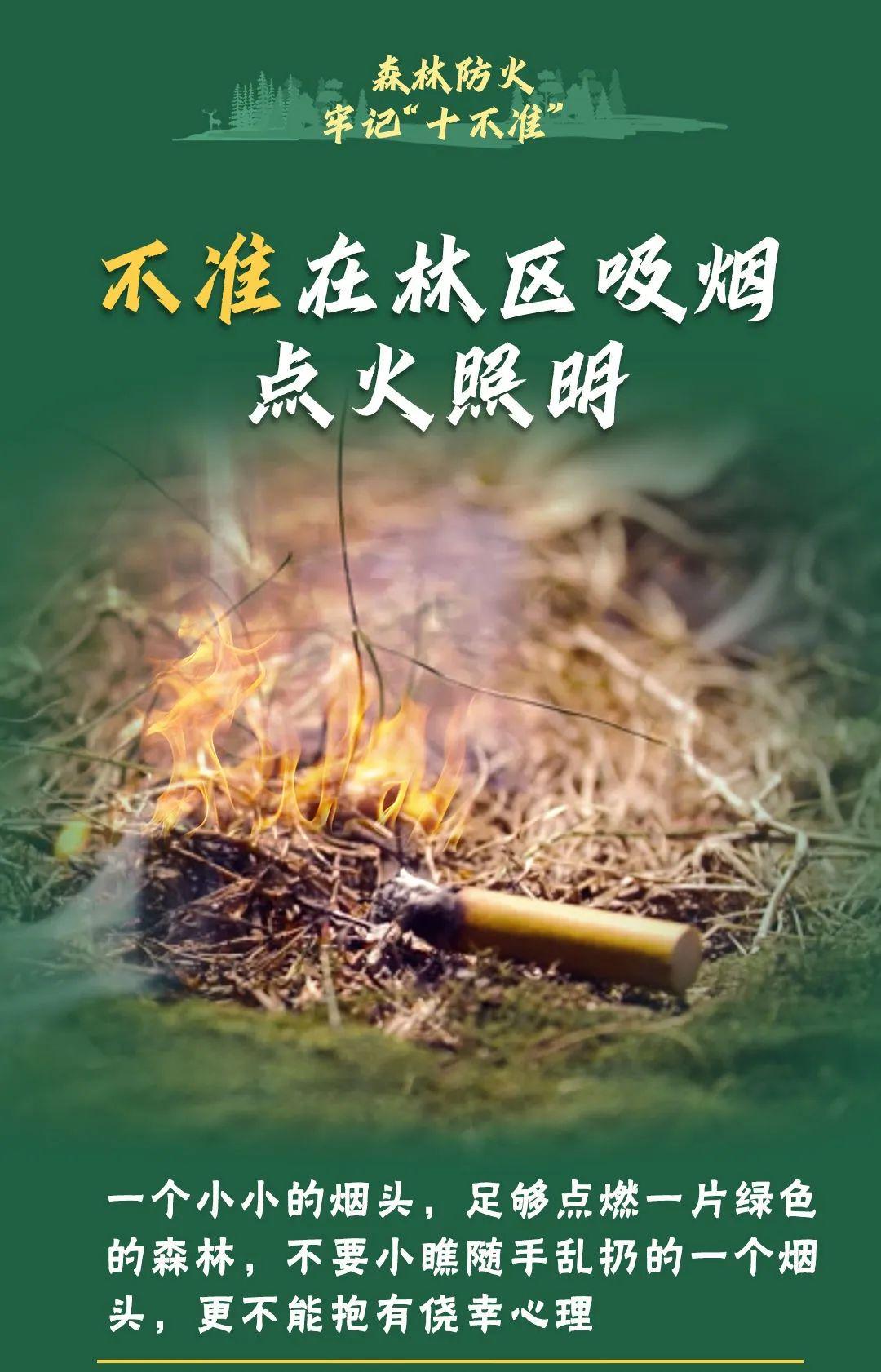 山火連發(fā)，原因公布！多地拉響紅色預(yù)警→