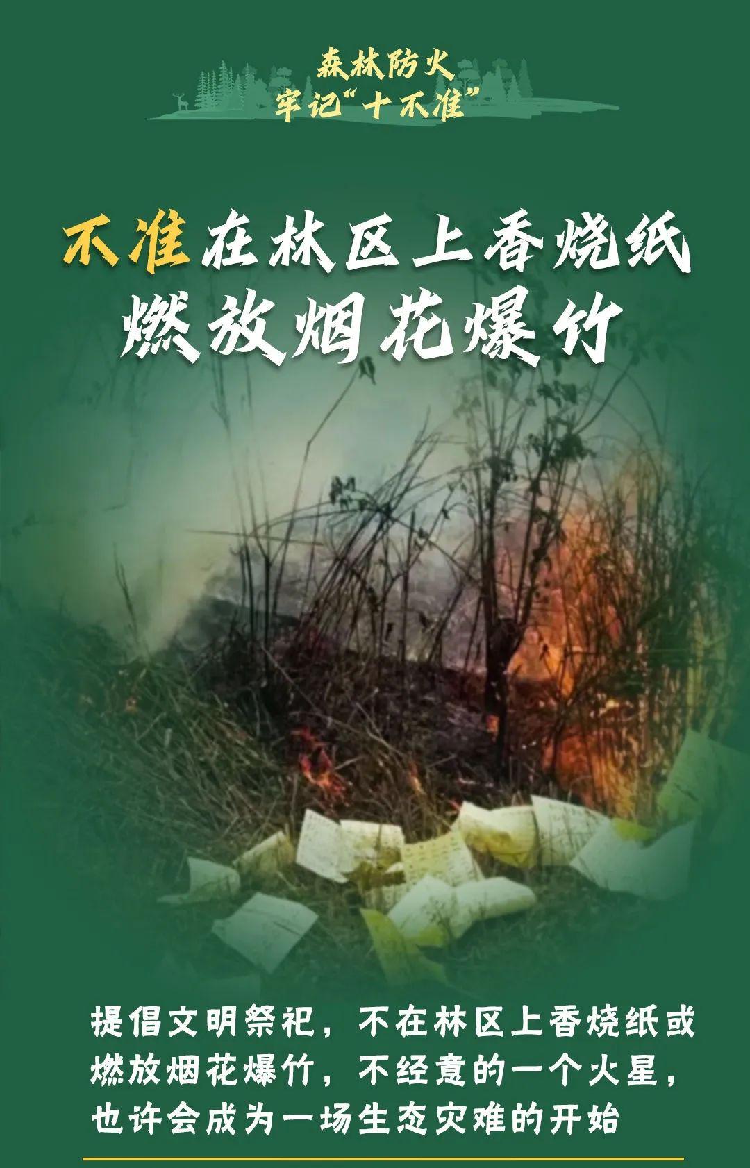 山火連發(fā)，原因公布！多地拉響紅色預(yù)警→