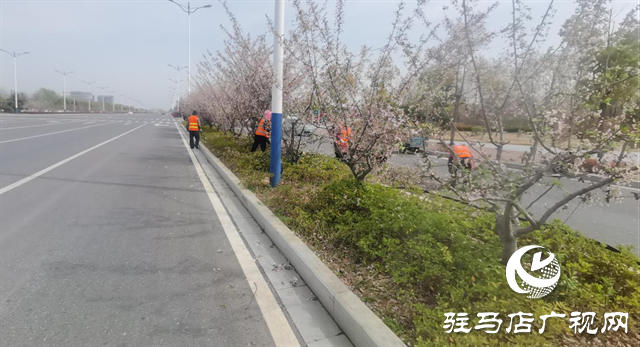  示范區(qū)城管局：全面開展春季園林綠化養(yǎng)護(hù)工作