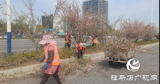  示范區(qū)城管局：全面開展春季園林綠化養(yǎng)護(hù)工作