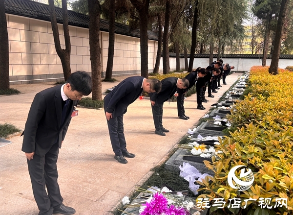  平輿公交組織黨員干部開展“緬懷革命先烈，傳承紅色精神”主題黨日活動(dòng)
