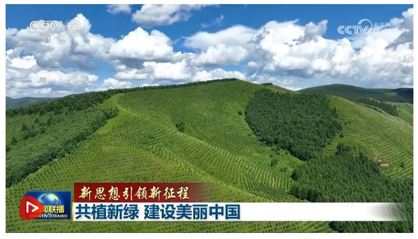 【新思想引領(lǐng)新征程】共植新綠 建設(shè)美麗中國(guó)