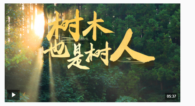 近觀“兩山” | 樹木，也是樹人