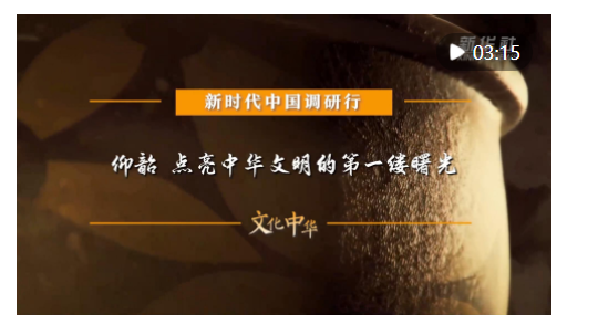 新時(shí)代中國調(diào)研行之文化中華·國寶故事｜仰韶 點(diǎn)亮中華文明的第一縷曙光