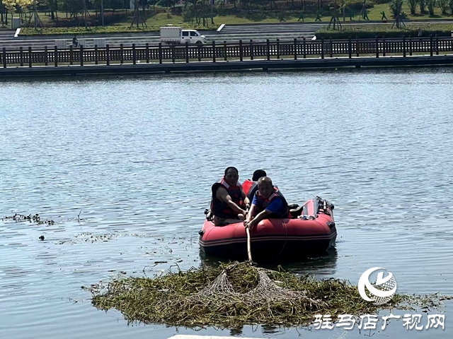 守護一城碧水！確山縣住建局清淤除草保河暢水清