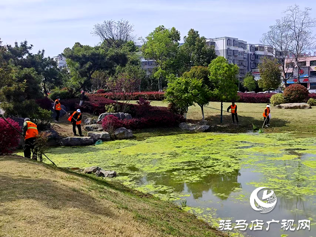 守護一城碧水！確山縣住建局清淤除草保河暢水清