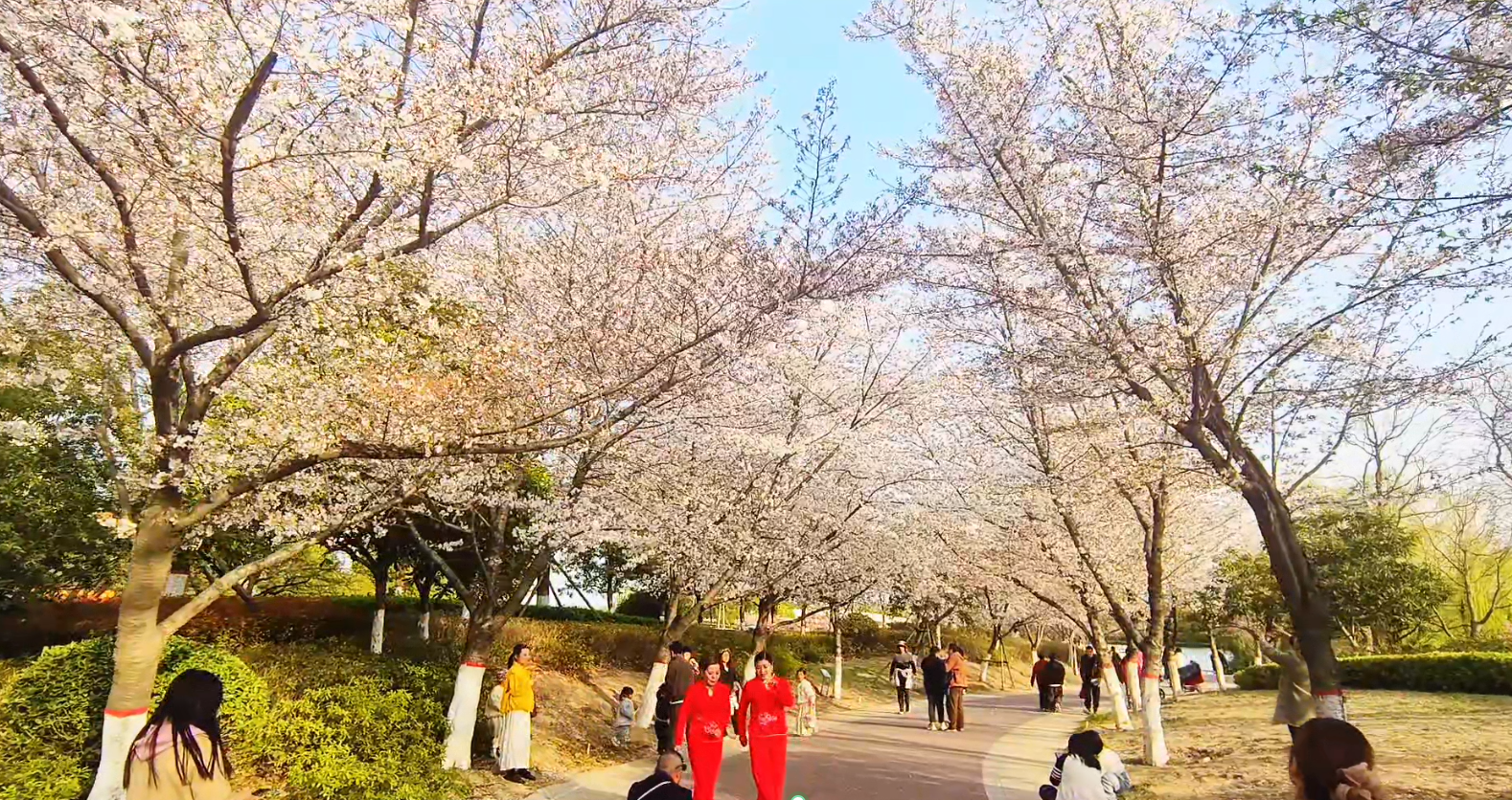 【城市旅游年票】讓你隨時(shí)隨地開啟精彩旅程！