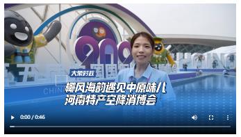 椰風海韻遇見中原味兒 河南特產(chǎn)空降消博會