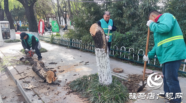  積極開展“愛國衛(wèi)生月”城市環(huán)境整治行動