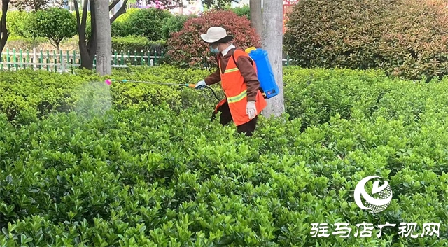  示范區(qū)綜合執(zhí)法大隊(duì)：開展病蟲害防治 筑牢園林安全屏障
