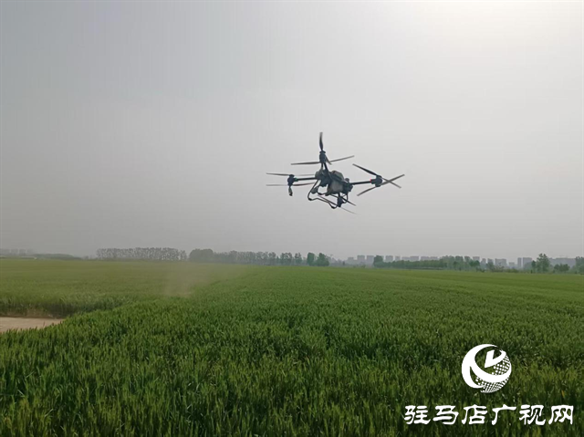  示范區(qū)劉閣街道：“一噴三防”進(jìn)田間筑牢夏糧豐收防線