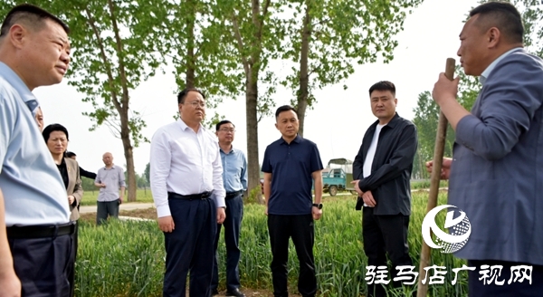 平輿縣委副書記、縣長李磊調(diào)研抗旱及“一噴三防”、病蟲害防治工作   