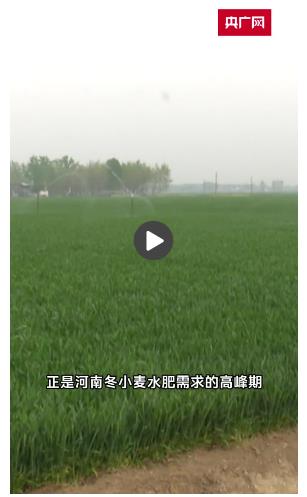 降水緩解部分旱情 河南多部門行動(dòng)讓小麥“喝飽水”