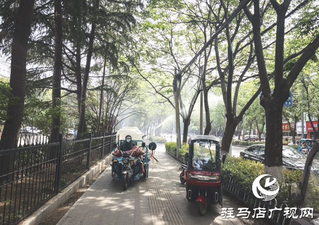 開發(fā)區(qū)城市管理局:樹木“滴油”引困擾 快速處置解民憂