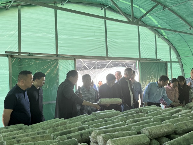 國家食用菌產(chǎn)業(yè)技術體系栽培與基質研究室交流會在我市召開