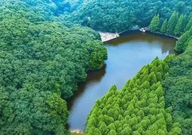 免票！河南近期熱門景區(qū)優(yōu)惠活動匯總
