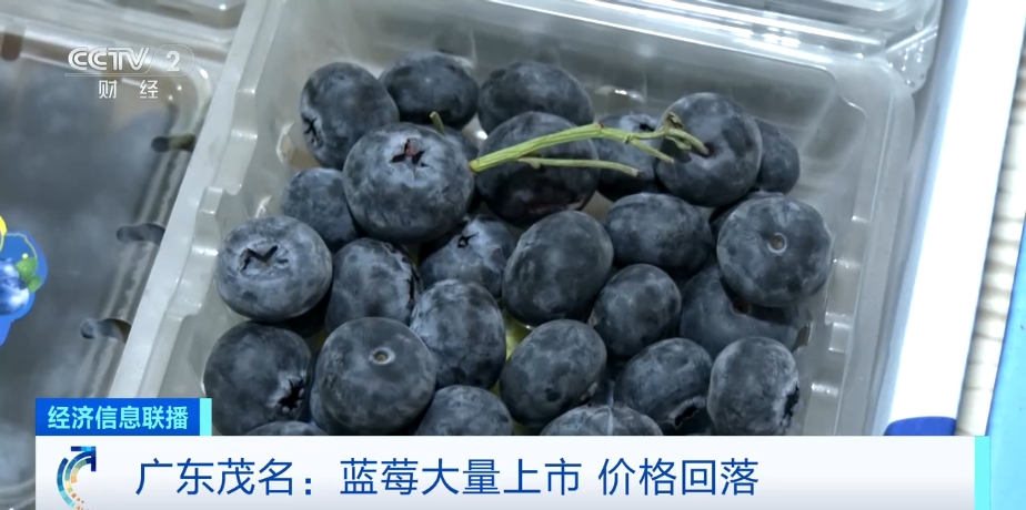 藍莓價格“腰斬”！每天吃一盒會發(fā)生什么？皮膚真的會變白嗎？