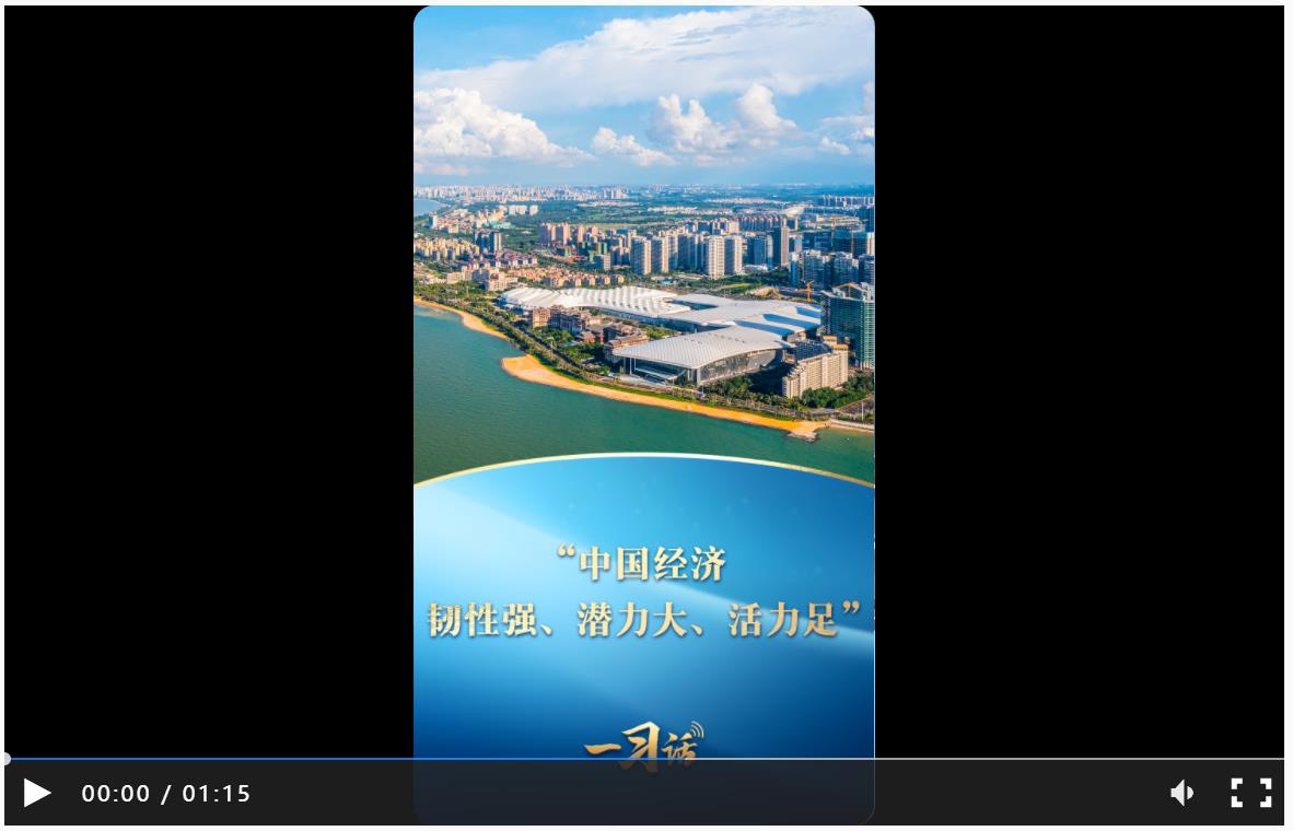 一習(xí)話丨“中國經(jīng)濟(jì)韌性強(qiáng)、潛力大、活力足”