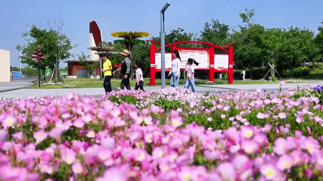 【大美天中】正陽縣：芳菲四月醉美春光 植物園夢幻花海引客來