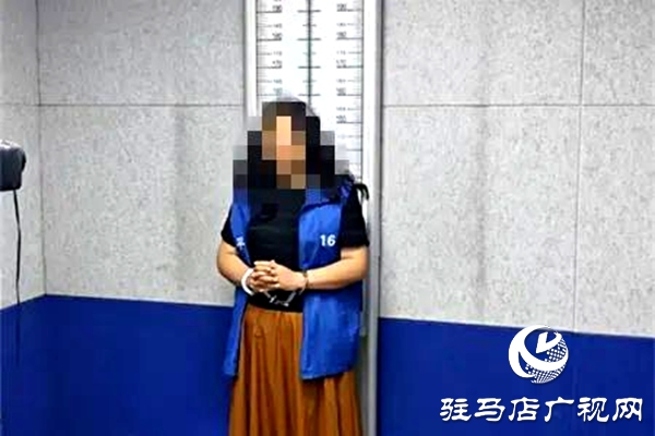 平輿縣人民法院：破曉而行，集中執(zhí)行持續(xù)“升溫”