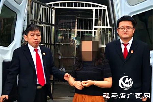 平輿縣人民法院：破曉而行，集中執(zhí)行持續(xù)“升溫”