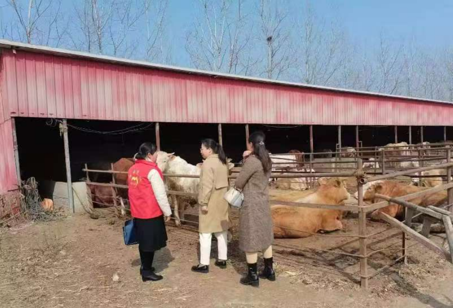 駐馬店市動物疫病防疫檢疫中心發(fā)布2025年5月份動物疫病預警預報