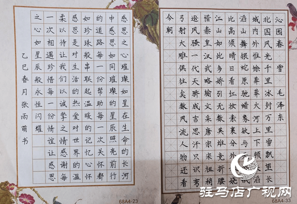 駐馬店職業(yè)技術(shù)學(xué)院成功舉辦“墨韻校園，詩詠青春”硬筆詩詞大賽
