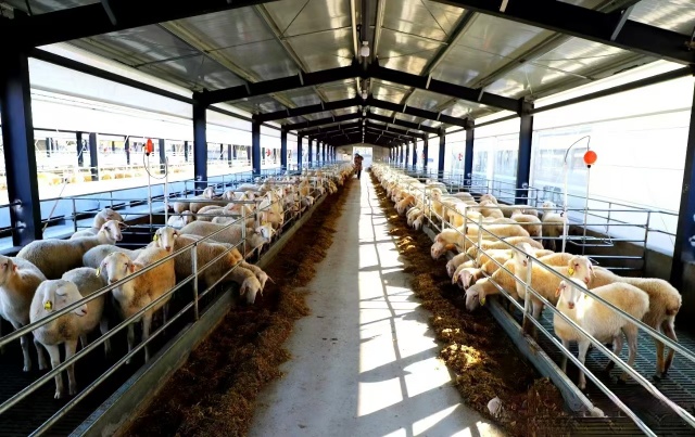 駐馬店市動物疫病防疫檢疫中心發(fā)布2025年5月份動物疫病預警預報