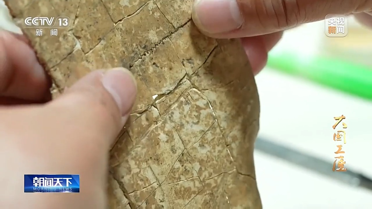 大國工匠·向新而行丨一片甲骨驚天下 她用墨拓讓商王朝的“朋友圈”清晰可見