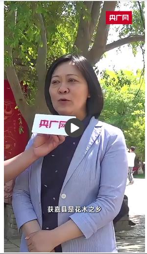 文創(chuàng)上新、線路豐富 河南省“五一”消費(fèi)市場(chǎng)熱力十足