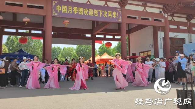 泌陽彩帶舞龍隊“舞”進(jìn)南陽月季園 共赴文化交流之約
