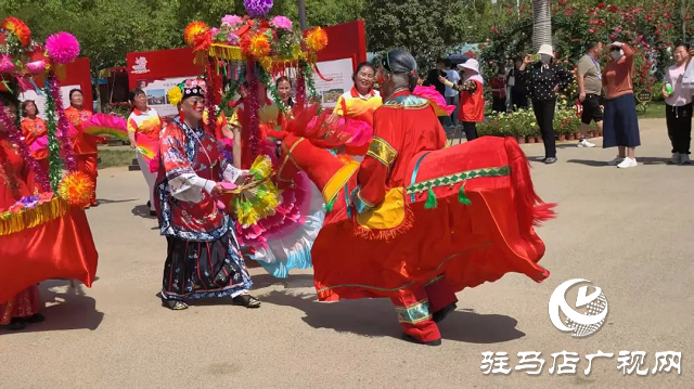 泌陽彩帶舞龍隊“舞”進(jìn)南陽月季園 共赴文化交流之約