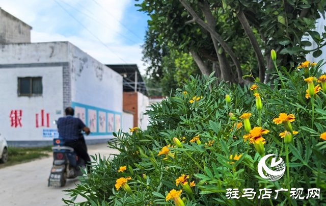泌陽縣黃山口鄉(xiāng)：宜居鄉(xiāng)村宜共建，美好生活?yuàn)^斗來