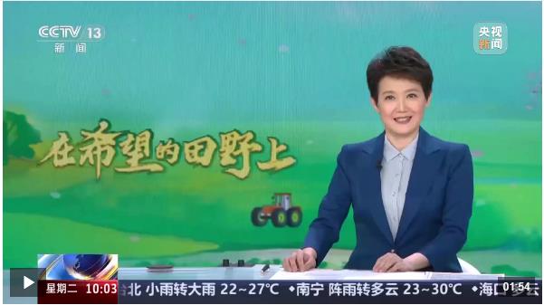 在希望的田野上 河南 小麥進入穩(wěn)產(chǎn)關(guān)鍵期 科技助力田管