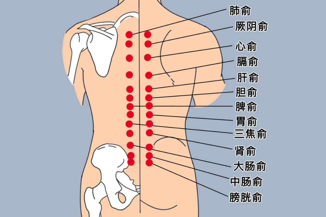 春夏交替易疲勞，4件事養(yǎng)好精力