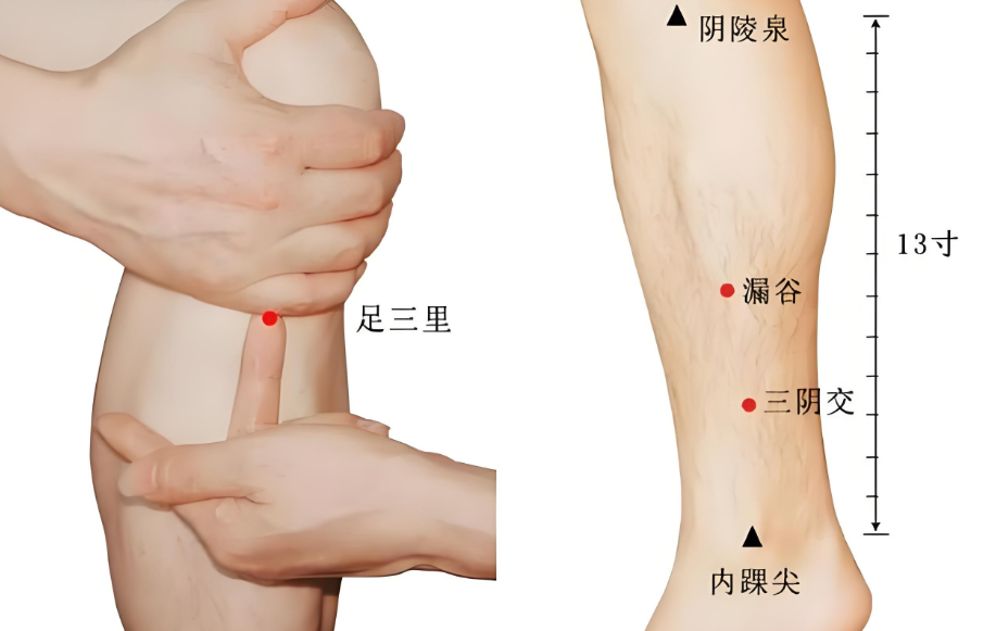 春夏交替易疲勞，4件事養(yǎng)好精力