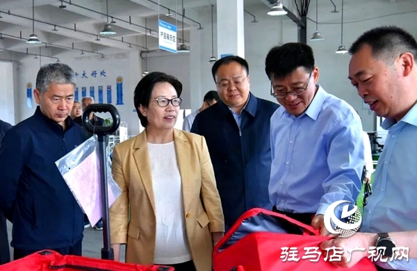 河南省文化和旅游廳副廳長周耀霞到平輿縣調(diào)研指導(dǎo)工作