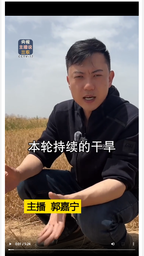 本輪干旱對河南小麥產(chǎn)量影響到底有多大？總臺記者深入河南麥田實(shí)地探訪