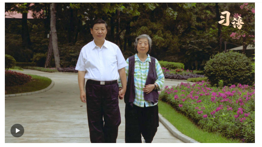 習語丨“誰言寸草心，報得三春暉”
