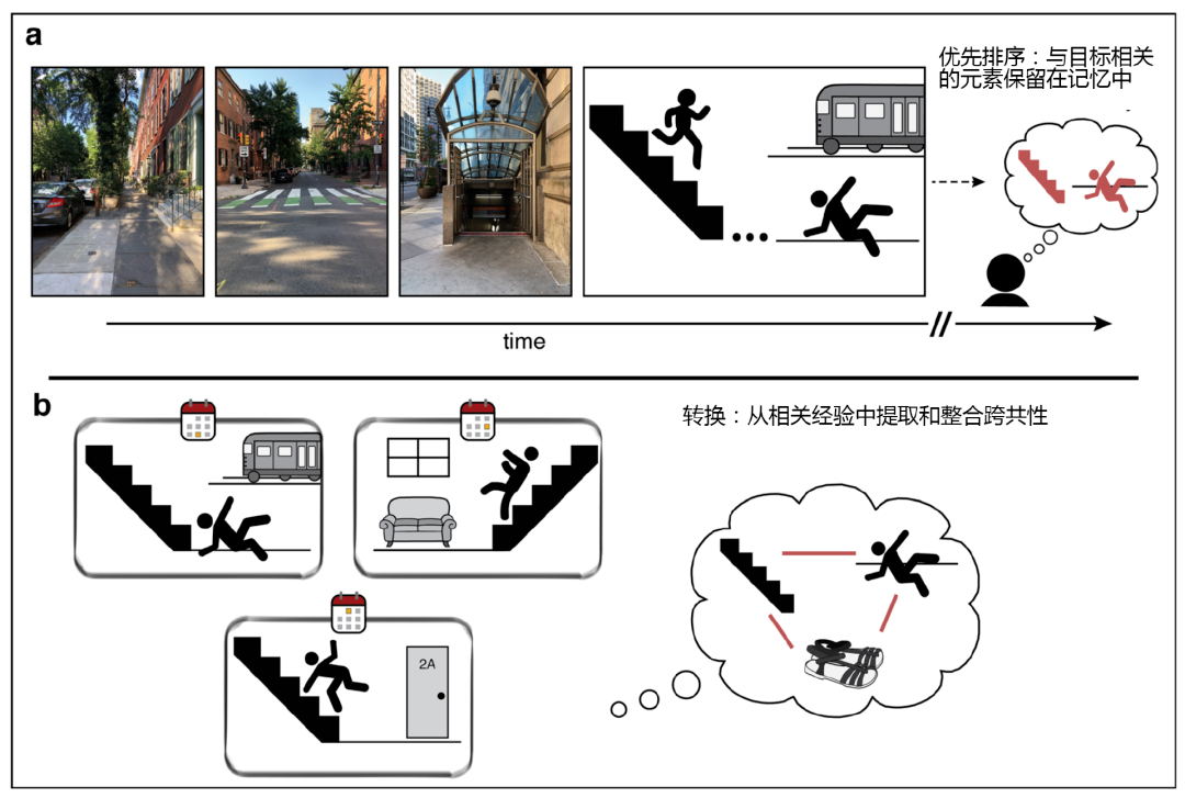 警惕！6個(gè)常見習(xí)慣，正在悄悄“偷走”你的記憶力