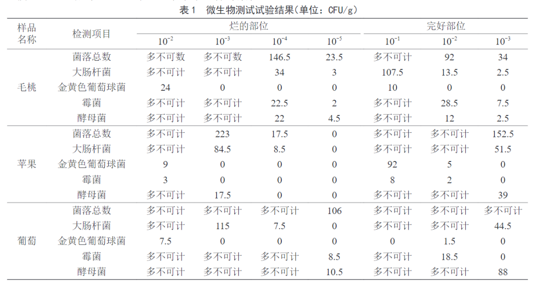“最臟水果”第一名，小心一口就中招！夏天很多人都愛吃