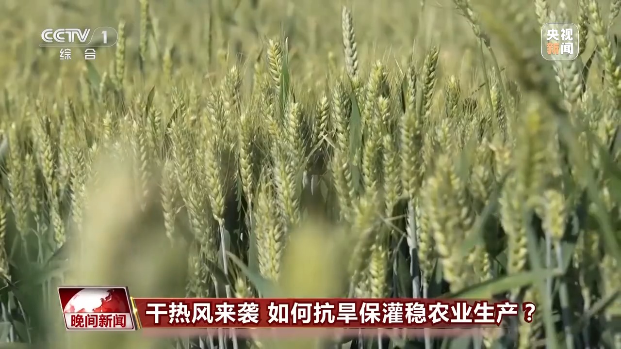 干熱風來襲 如何抗旱保灌穩(wěn)農(nóng)業(yè)生產(chǎn)？