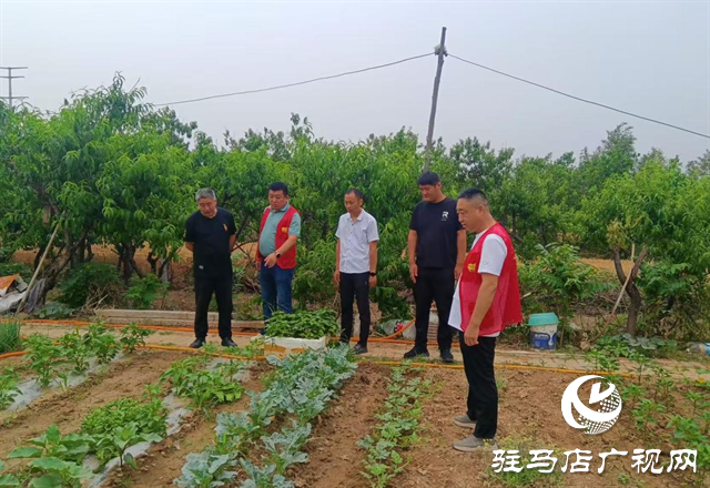  經(jīng)濟(jì)開發(fā)區(qū)金山辦事處組織開展禁種鏟毒集中踏查活動