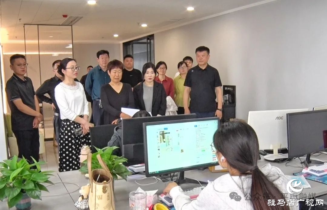 平輿縣政協就提升電商產業(yè)發(fā)展水平開展專題協商調研