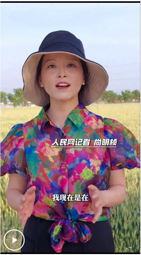 一線探訪河南抗旱：豐收前的“沖刺跑”