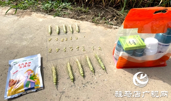 普眾良田農(nóng)業(yè)科技有限公司成功舉辦谷滿倉增產(chǎn)肥種植技術(shù)交流會暨VIP客戶答謝會