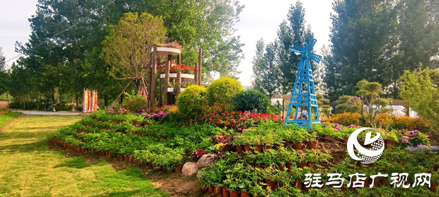 駐馬店驛城區(qū)魏莊村“天邊花海”即將啟幕 打造豫南文旅新地標(biāo)