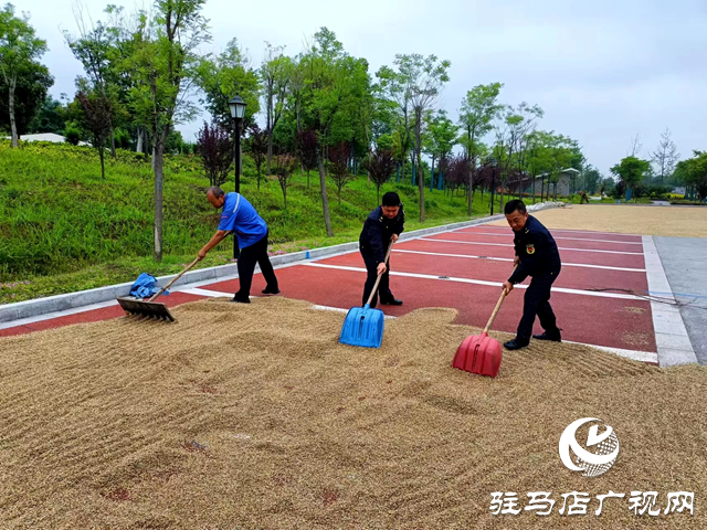 確山縣住建局:提供公共場所助力群眾曬糧